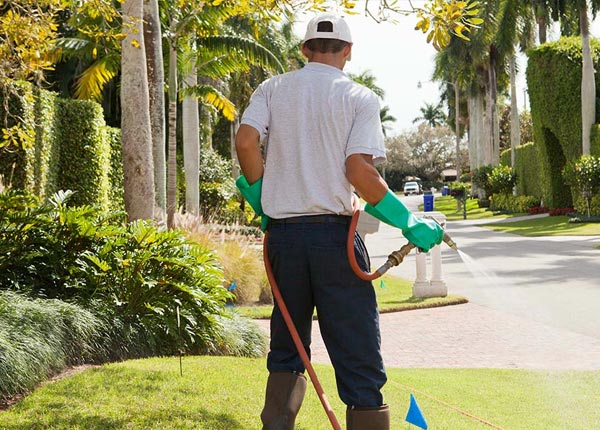 About Lambertville NJ Pest Control Pros